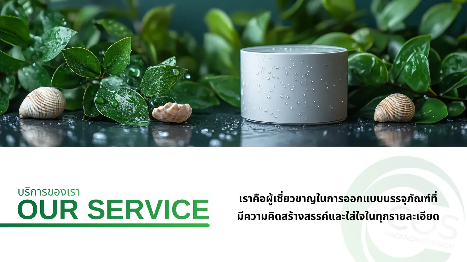 กระปุกบรรจุภัณฑ์เครื่องสำอางวางบนพื้นเปียก ล้อมด้วยใบไม้และเปลือกหอย แสดงบริการออกแบบบรรจุภัณฑ์ และ packagingเครื่องสำอาง / รับออกแบบผลิตกล่องบรรจุภัณฑ์ / ผลิตแพ็คเกจจิ้ง / packagingdesignthailand / thaipackagingdesign