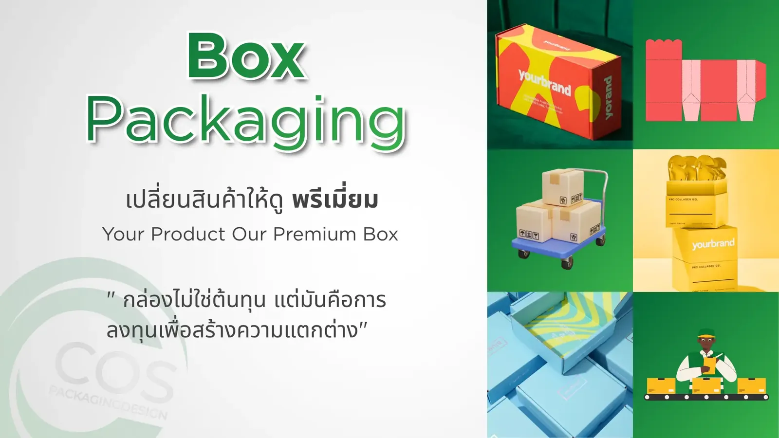 Box Packaging